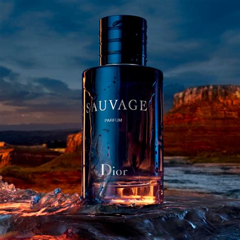 sauvage dior parfum san marino|dior sauvage cologne.